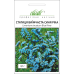 Семена - Статица Синяя река, выемчатая, Hem Zaden (Нидерланды), 0,1 г.