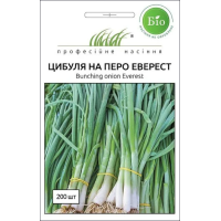 Насіння - Цибуля на перо Еверест, Wing Seed (Нідерланди), 200 шт.