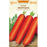 Насіння - Економ пак. - Морква Нантська, 10 г.