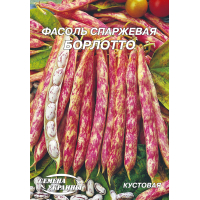 Насіння - Економ пак. - Квасоля Борлотто, спаржева, 20 г.