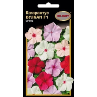 Семена - Катарантус Вулкан F1, смесь, 10 шт. Семена - Катарантус Вулкан F1, смесь, 10 шт.