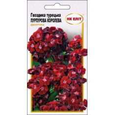 Семена - Гвоздика Пурпурная королева, турецкая, 0,3 г. Семена - Гвоздика Пурпурная королева, турецкая, 0,3 г.