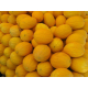 Насіння - Диня Jaune Canari, 1 г.