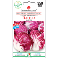 Насіння - Цикорій Пагода, 300 шт.