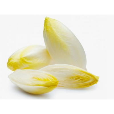 Насіння - Цикорій Біле золото, 500 шт.