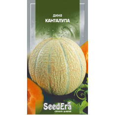 Насіння - Диня Канталупа (Тайська диня), 10 шт. Насіння - Диня Канталупа (Тайська диня), 10 шт.