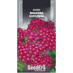 Насіння - Ахілея Вишнева Королева, 0,1 г. Насіння - Ахілея Вишнева Королева, 0,1 г.