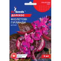 Насіння - Доліхос Фіолетові гірлянди //, 5 шт. Насіння - Доліхос Фіолетові гірлянди //, 5 шт.