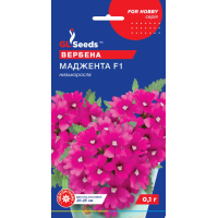 Семена - Вербена Маджента F1, 0,1 г. Семена - Вербена Маджента F1, 0,1 г.