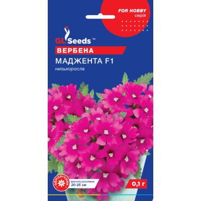 Насіння - Вербена Маджента F1, 0,1 г.