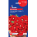 Семена - Вербена Люцифер ред F1, 0,1 г.