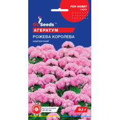 Семена - Агератум Розовая королева, 0,1 г. Семена - Агератум Розовая королева, 0,1 г.