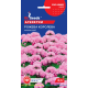 Семена - Агератум Розовая королева, 0,1 г.