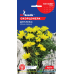 Насіння – Скорцонера Дуплекс, чорний корінь, 0,5 г.