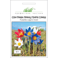 Насіння - Сон-трава Принц Генріх, Hem Zaden (Нідерланди), 0,1 г.