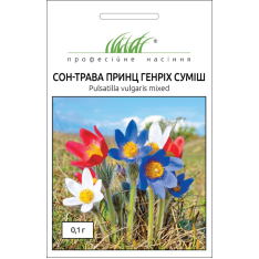 Семена - Сон-трава Принц Генрих, Hem Zaden (Нидерланды), 0,1 г. Семена - Сон-трава Принц Генрих, Hem Zaden (Нидерланды), 0,1 г.