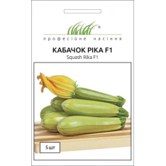 Насіння - Кабачок Ріка F1, United Genetics (Італія), 5 шт. Насіння - Кабачок Ріка F1, United Genetics (Італія), 5 шт.