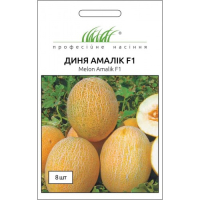 Семена - Дыня Амалик F1, United Genetics (Италия), 8 шт.
