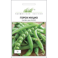 Семена - Горох Муцио, Syngenta (Нидерланды), 5 г.