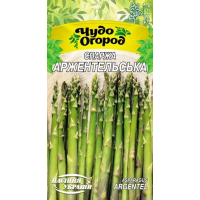 Семена - Спаржа Аржентейльская, 1 г.