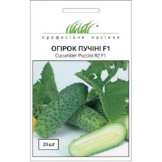 Насіння - Огірок Пучіні F1, Rijk Zwaan (Нідерланди), 10 шт. Насіння - Огірок Пучіні F1, Rijk Zwaan (Нідерланди), 10 шт.