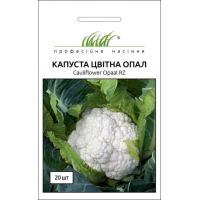 Насіння - Капуста цв. Опал, Rijk Zwaan (Нідерланди), 20 шт.