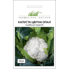 Семена - Капуста цв. Опал, Rijk Zwaan (Нидерланды), 20 шт. Семена - Капуста цв. Опал, Rijk Zwaan (Нидерланды), 20 шт.