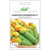 Семена - Кабачок Карамболь F1, United Genetics (Италия), 5 шт.