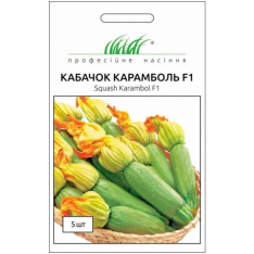 Семена - Кабачок Карамболь F1, United Genetics (Италия), 5 ш... Семена - Кабачок Карамболь F1, United Genetics (Италия), 5 ш...