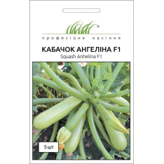 Насіння - Кабачок Ангеліна F1, Syngenta (Нідерланди), 5 шт. Насіння - Кабачок Ангеліна F1, Syngenta (Нідерланди), 5 шт.