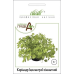 Семена - Кориандр (цилантро) комнатный, Wing Seed (Нидерланды), 2 г.