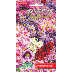 Насіння - Схізантус візетонський, cуміш, 0,05 г.