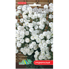 Насіння – Маруна (матрикарія), 0,1 г. Насіння – Маруна (матрикарія), 0,1 г.