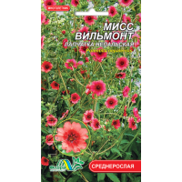 Семена - Лапчатка Мисс Вильмонт, непальская, 0,05 г. 