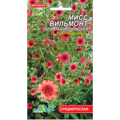 Насіння - Перстач Міс Вільмонт, непальська, 0,05 г. Насіння - Перстач Міс Вільмонт, непальська, 0,05 г.