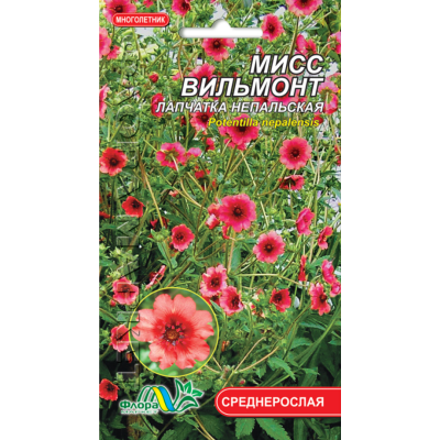 Семена - Лапчатка Мисс Вильмонт, непальская, 0,05 г. 