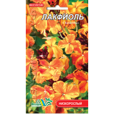 Насіння – Лакфіоль, 0,05 г. Насіння – Лакфіоль, 0,05 г.