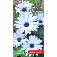 Семена - Арктотис, 0,1 г.