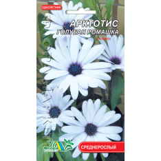 Семена - Арктотис, 0,1 г. Семена - Арктотис, 0,1 г.