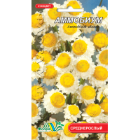 Насіння - Аммобіум, 0,2 г.