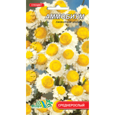 Насіння - Аммобіум, 0,2 г. Насіння - Аммобіум, 0,2 г.