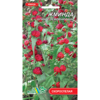 Семена - Жминда, Шпинат земляничный, 0,1 г.
