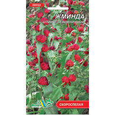 Насіння - Жминда, Шпинат суничний, 0,1 г. Насіння - Жминда, Шпинат суничний, 0,1 г.