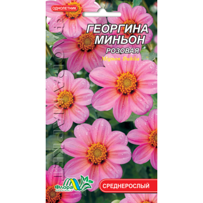 Семена - Георгина Миньон розовая, 0,15 г.