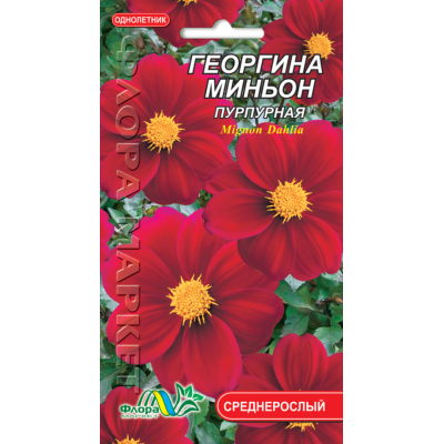 Семена - Георгина Миньон пурпурная, 0,15 г.