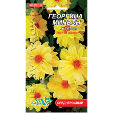 Насіння - Жоржина Міньйон жовта, 0,15 г. Насіння - Жоржина Міньйон жовта, 0,15 г.