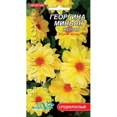 Семена - Георгина Миньон желтая, 0,15 г.