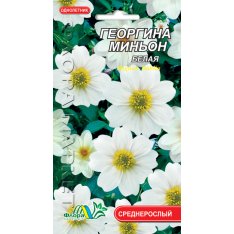Насіння - Жоржина Міньйон біла, 0,15 г. Насіння - Жоржина Міньйон біла, 0,15 г.