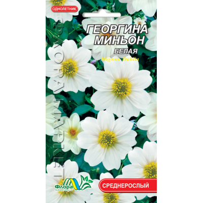 Семена - Георгина Миньон белая, 0,15 г.
