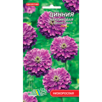 Семена - Цинния Фиолетовая, карликовая, 0,2 г.